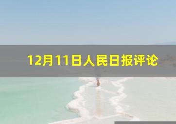 12月11日人民日报评论