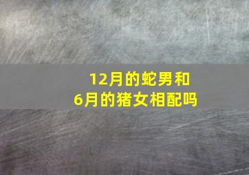 12月的蛇男和6月的猪女相配吗