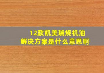 12款凯美瑞烧机油解决方案是什么意思啊