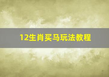 12生肖买马玩法教程