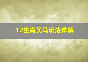 12生肖买马玩法详解