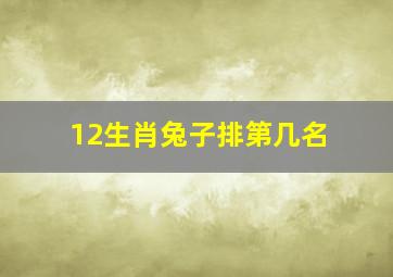 12生肖兔子排第几名