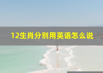 12生肖分别用英语怎么说