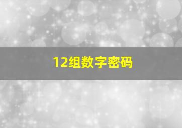 12组数字密码