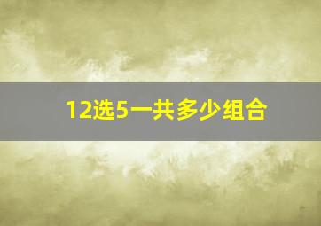 12选5一共多少组合