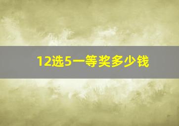 12选5一等奖多少钱