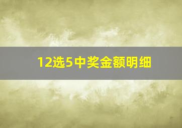 12选5中奖金额明细