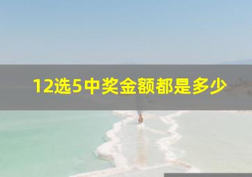 12选5中奖金额都是多少