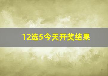 12选5今天开奖结果