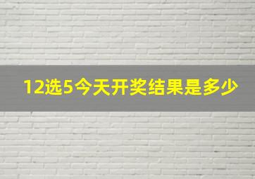 12选5今天开奖结果是多少