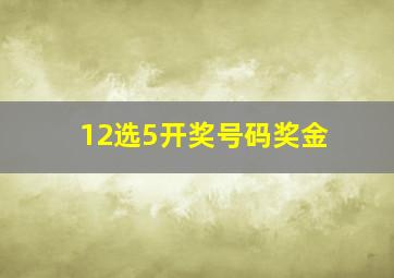 12选5开奖号码奖金