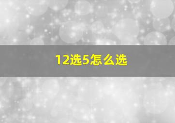 12选5怎么选