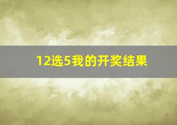 12选5我的开奖结果