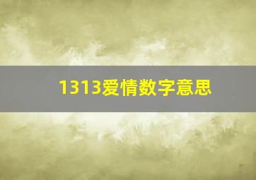 1313爱情数字意思