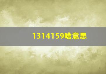 1314159啥意思