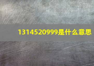 1314520999是什么意思