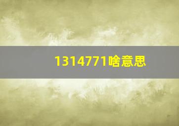 1314771啥意思