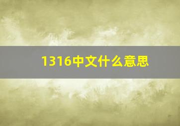 1316中文什么意思