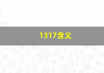 1317含义