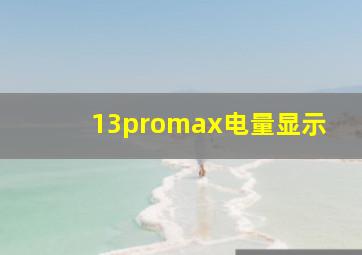 13promax电量显示