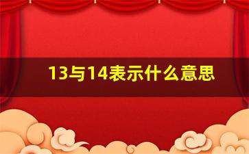 13与14表示什么意思