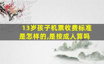 13岁孩子机票收费标准是怎样的,是按成人算吗