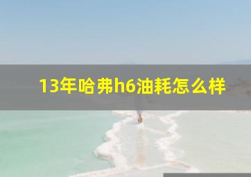 13年哈弗h6油耗怎么样