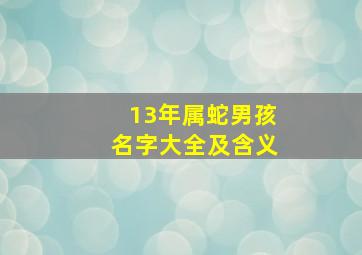 13年属蛇男孩名字大全及含义