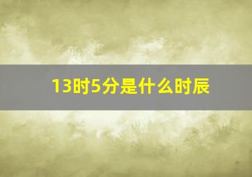 13时5分是什么时辰