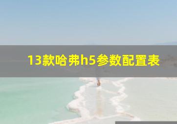 13款哈弗h5参数配置表