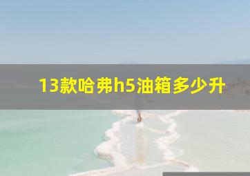 13款哈弗h5油箱多少升