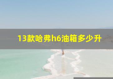 13款哈弗h6油箱多少升