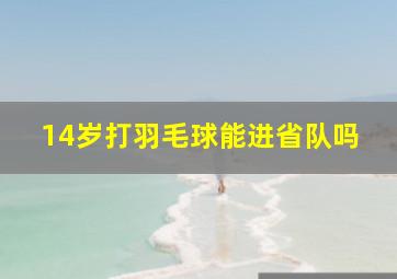 14岁打羽毛球能进省队吗