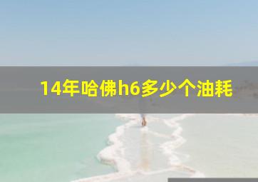 14年哈佛h6多少个油耗