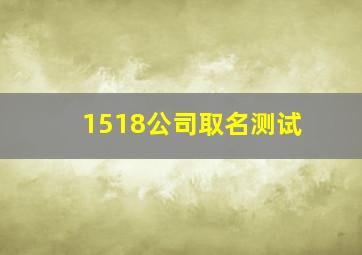 1518公司取名测试