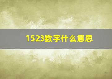 1523数字什么意思