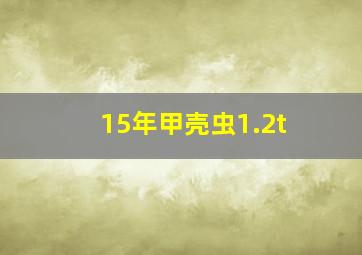 15年甲壳虫1.2t