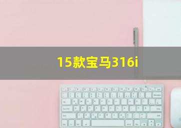 15款宝马316i