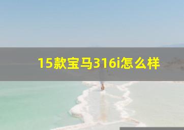 15款宝马316i怎么样