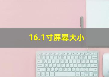 16.1寸屏幕大小