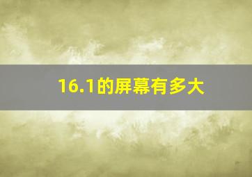 16.1的屏幕有多大