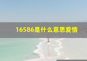 16586是什么意思爱情