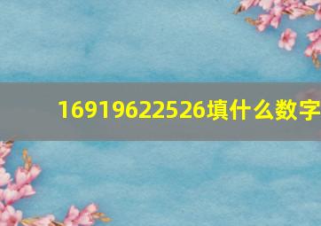 16919622526填什么数字