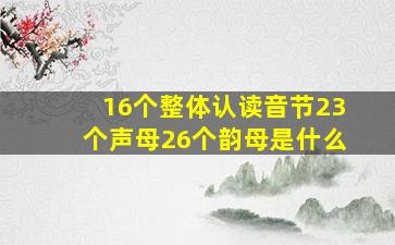 16个整体认读音节23个声母26个韵母是什么