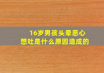 16岁男孩头晕恶心想吐是什么原因造成的