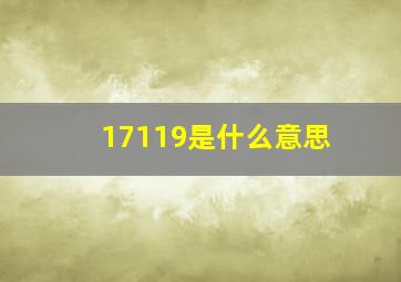 17119是什么意思