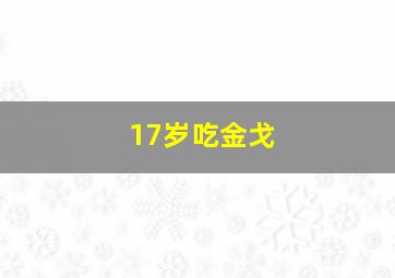 17岁吃金戈