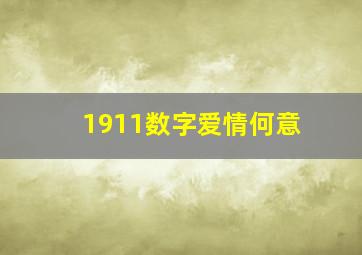 1911数字爱情何意