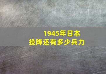 1945年日本投降还有多少兵力