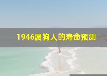 1946属狗人的寿命预测